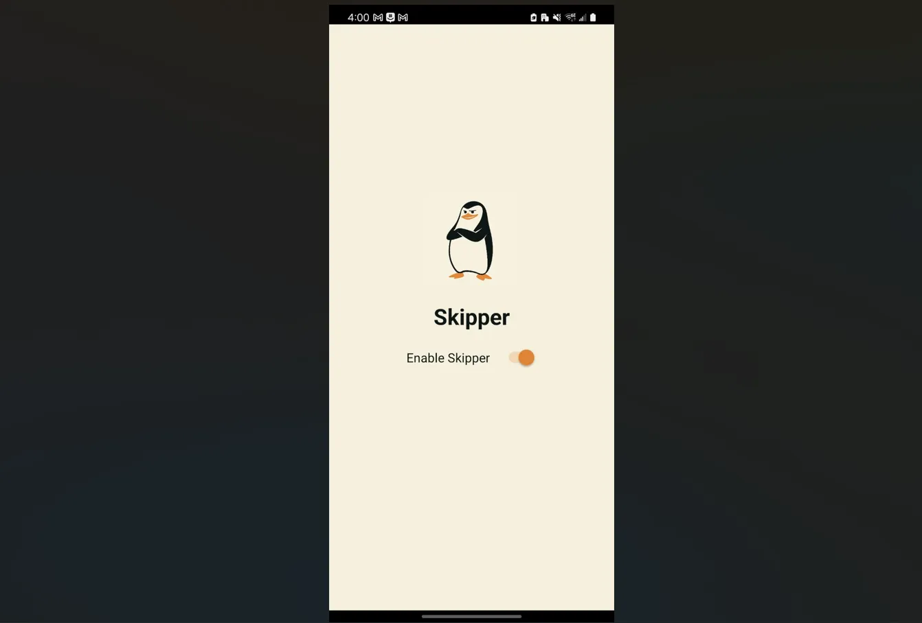 Skipper slide 1