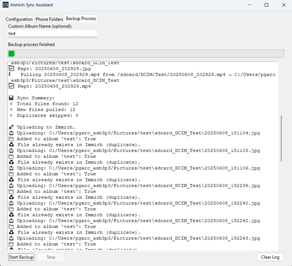Immich Sync Assistant slide 3