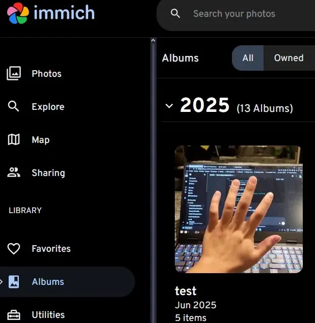 Immich Sync Assistant slide 4